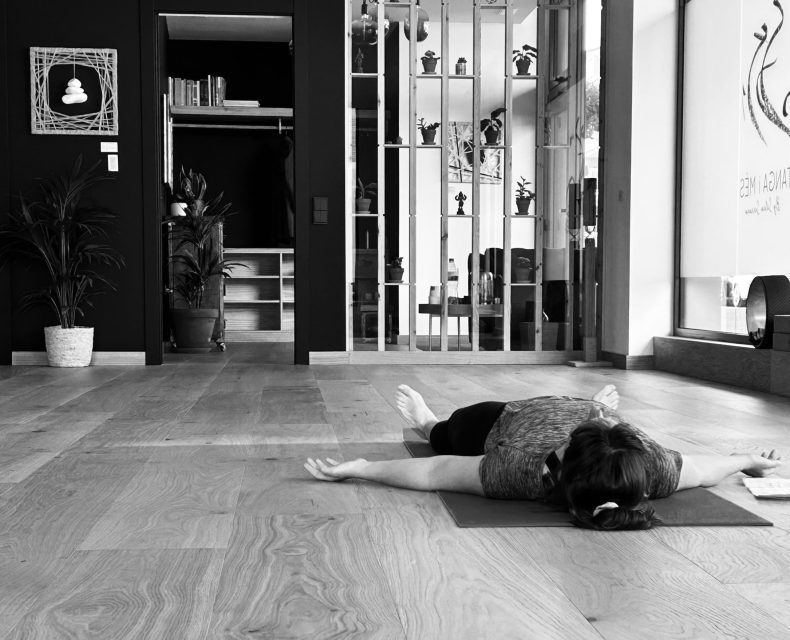 sala-yoga sala-yoga